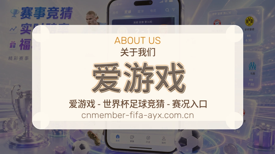 爱游戏服务范围介绍
